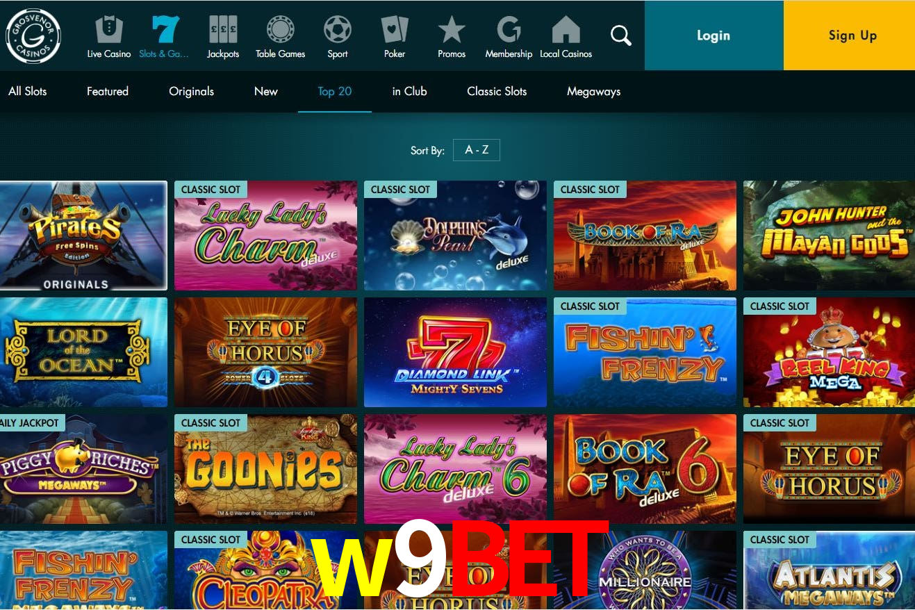 Experiência VIP w9bet